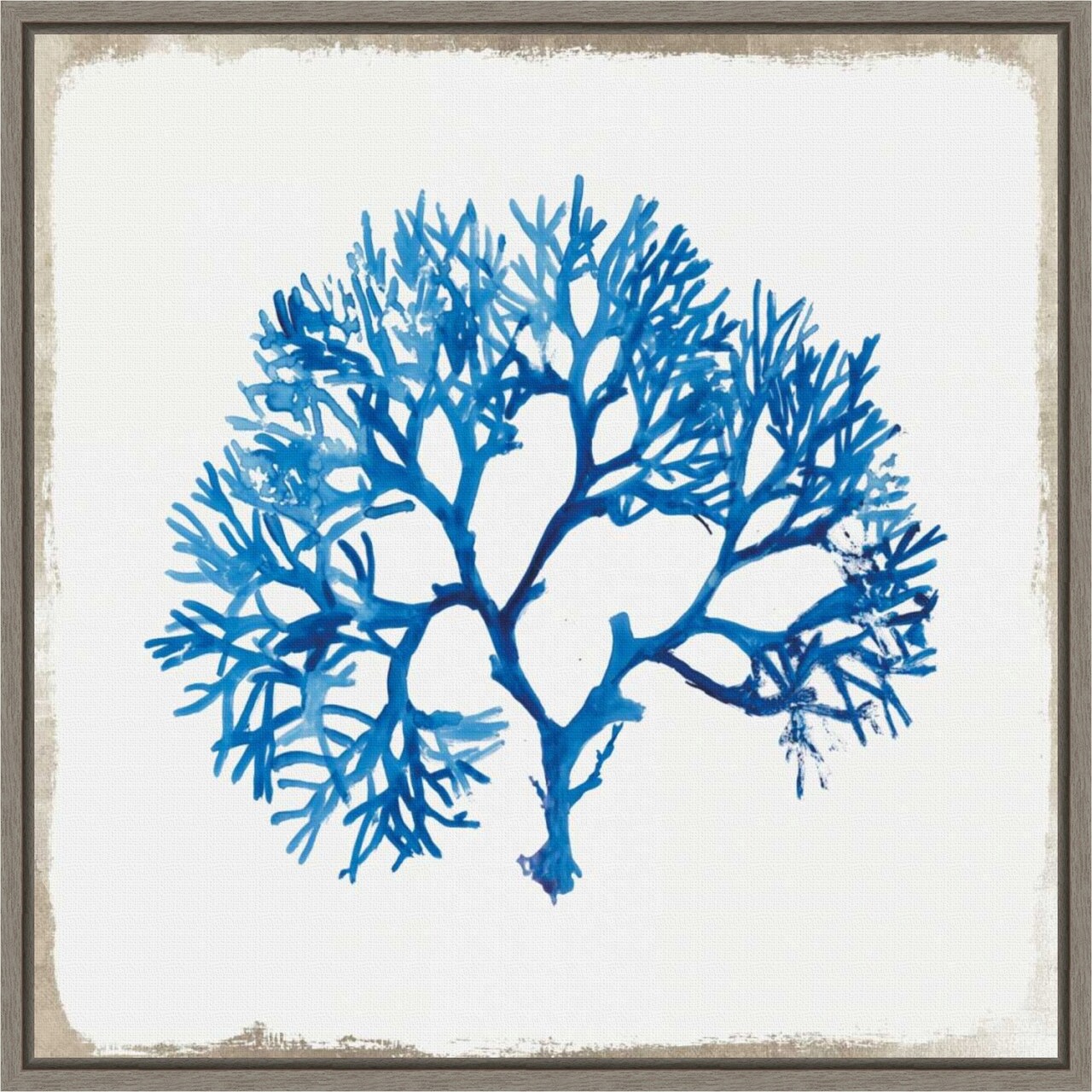Blue Coral I by Aimee Wilson 16-in. W x 16-in. H. Canvas Wall Art Print Framed in Grey